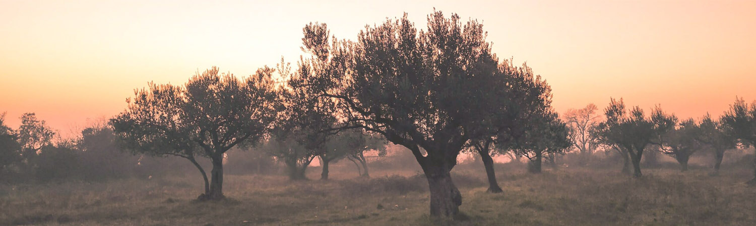 Υπηρεσίες για Αγρότες
